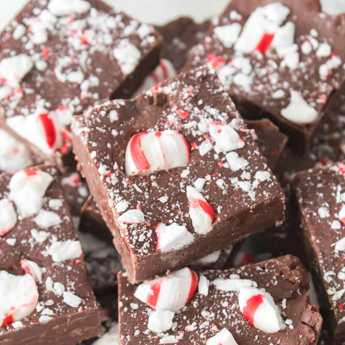 Squares of chocolate fudge topped with crushed peppermint candy.