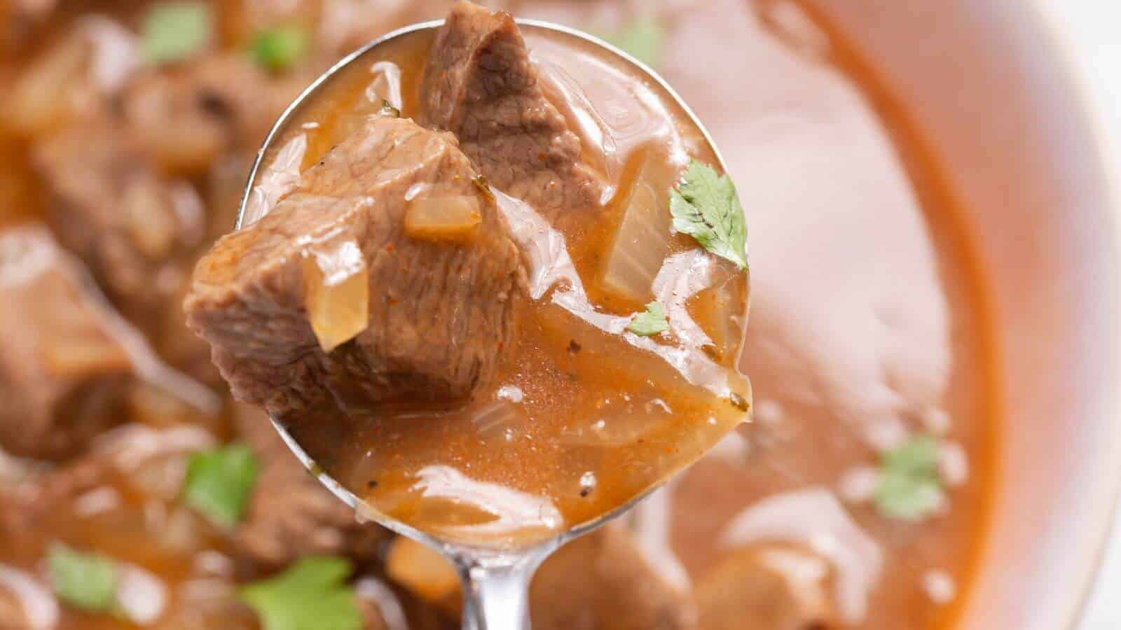 A spoon holding chunks of beef in a rich, brown stew garnished with small pieces of green herbs.