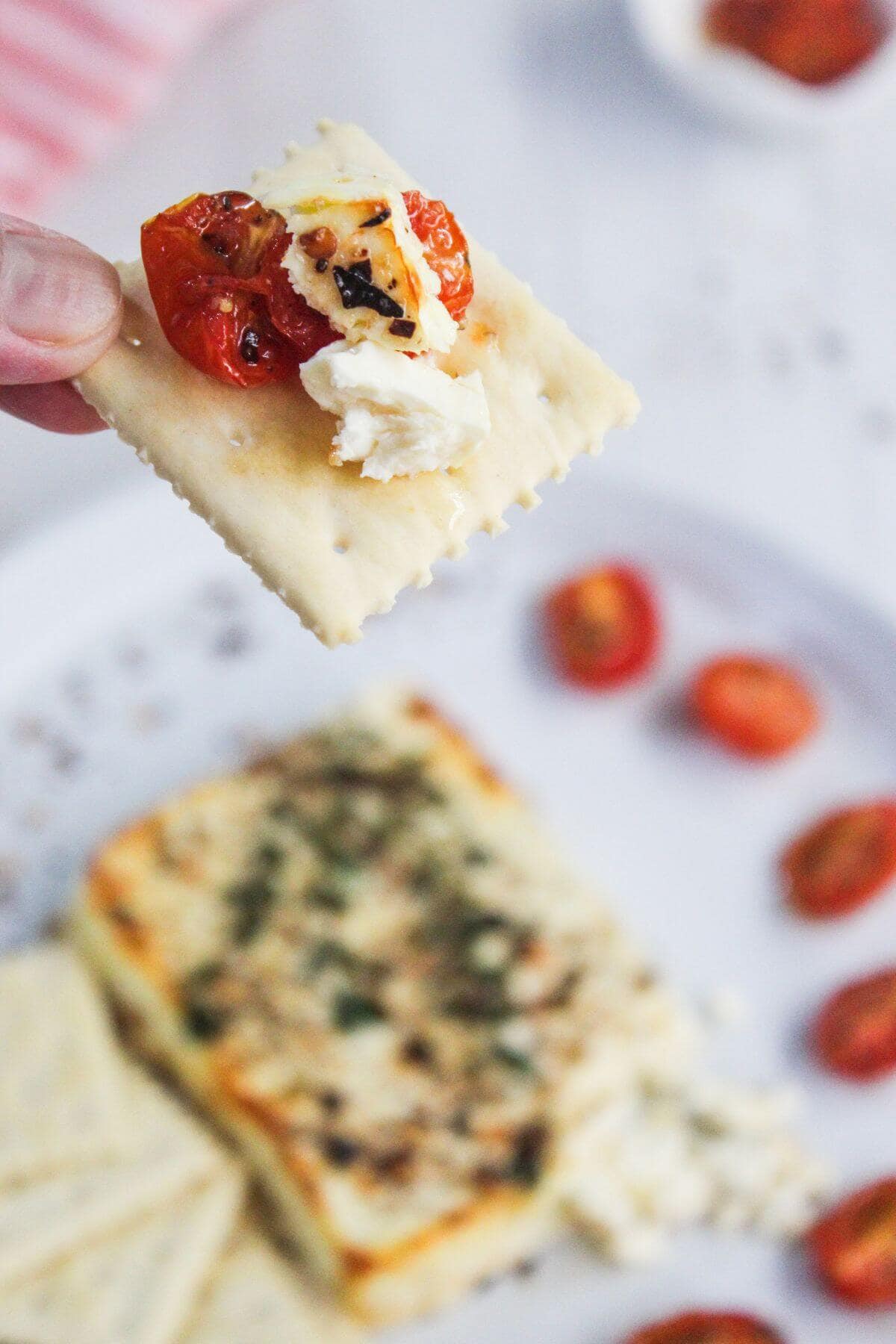 A hand holds a cracker topped with roasted cherry tomatoes and cheese, with more crackers, cheese, and tomatoes on a plate in the background.
