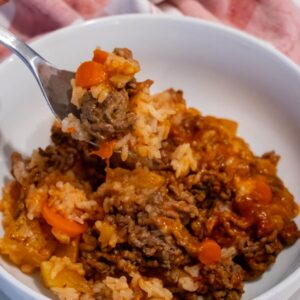 A bowl of rice mixed with ground beef, carrots, and tomato sauce; a fork holds a bite above the bowl.