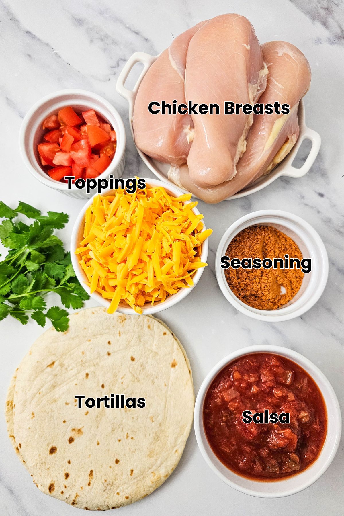 Ingredients like raw chicken breast, tortillas, salsa, seasoning and toppings in bowls with text labels over top.