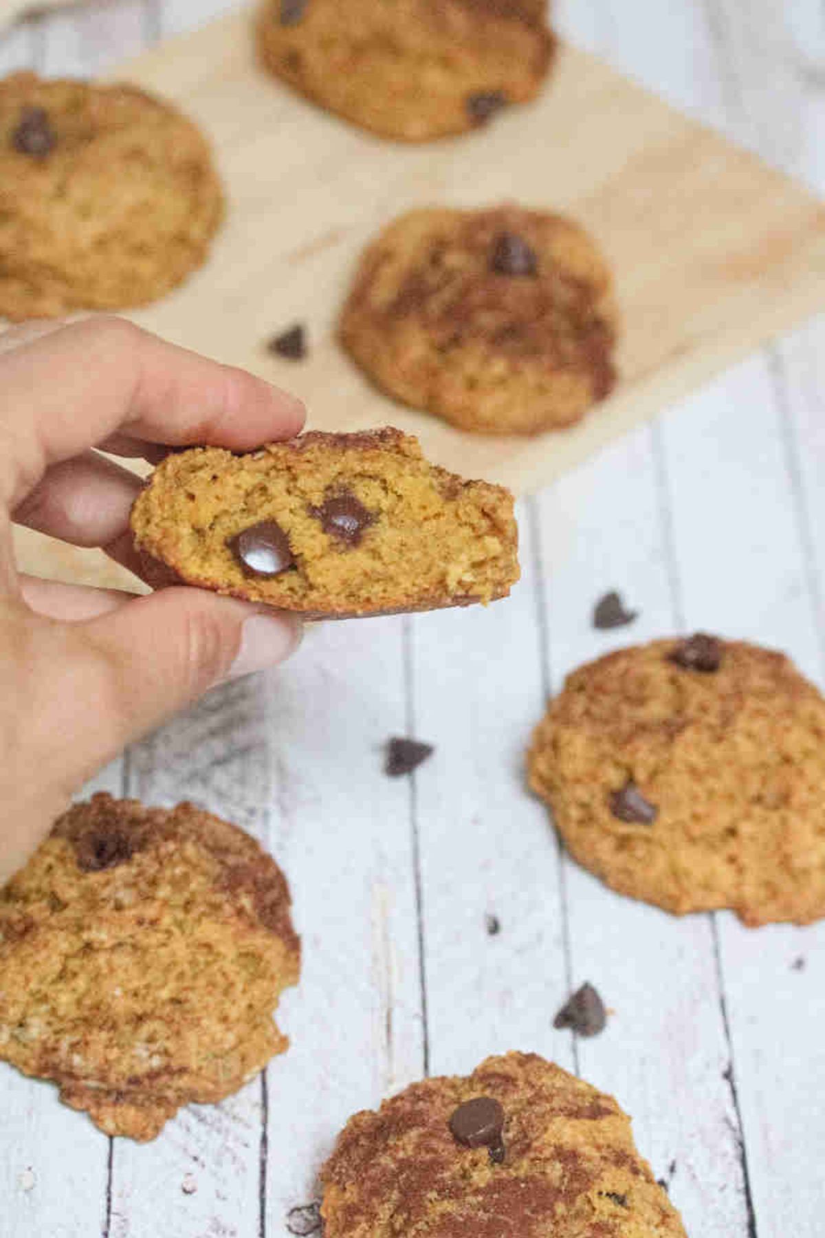 Pumpkin chocolate chip cookie bitten in half and being held up close with more cookies around it.